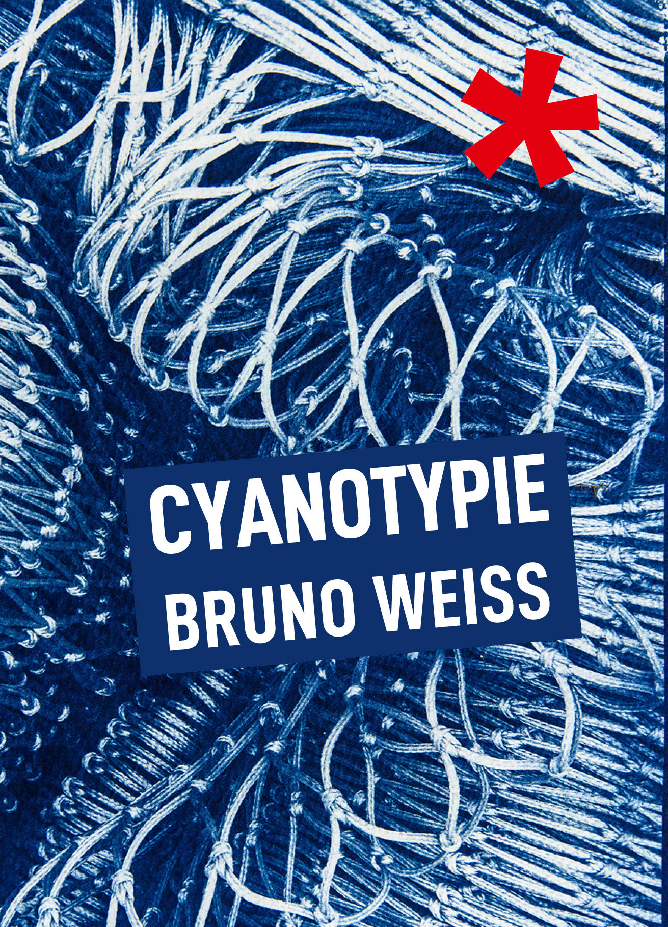- Cyanotypie - Ausstellung mit Bruno Weiß bei der fotoszene nürnberg