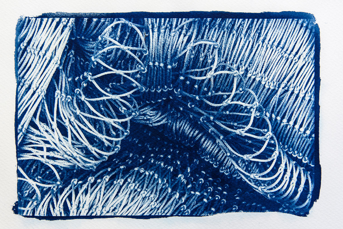 - Cyanotypie - Ausstellung mit Bruno Weiß bei der fotoszene nürnberg